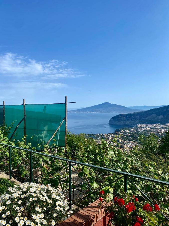 Villa Monica B&B ซอร์เรนโต ภายนอก รูปภาพ